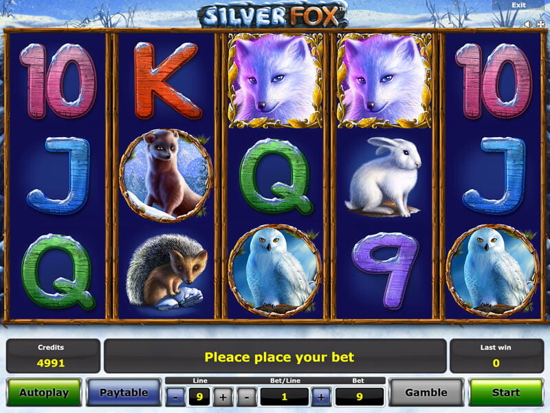 Silver Fox Spielautomat